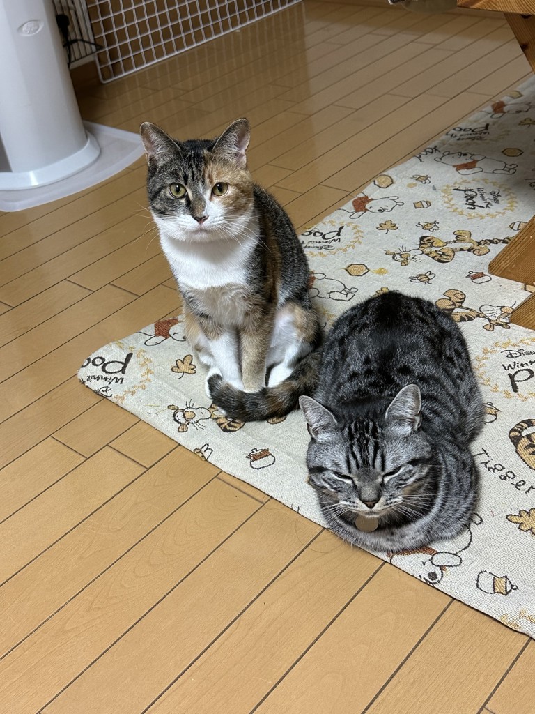 じゅんじゅん