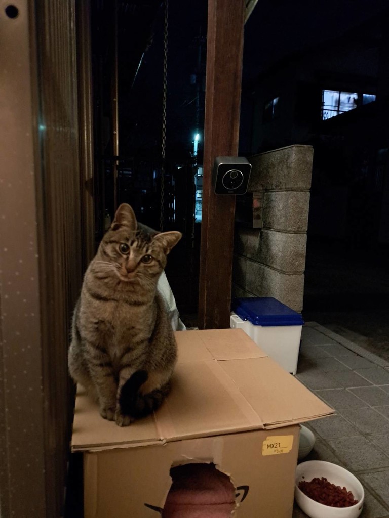 さっちゃん