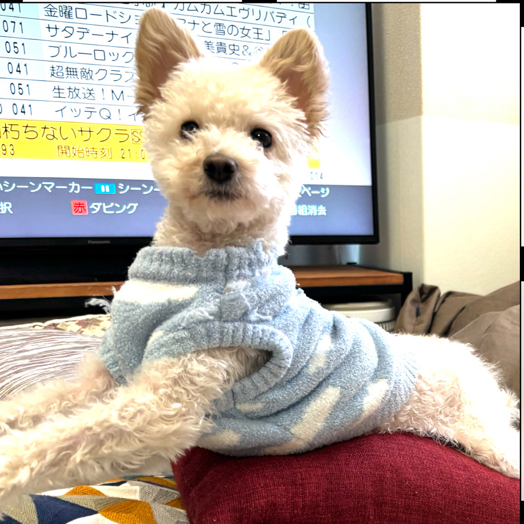 ネネ