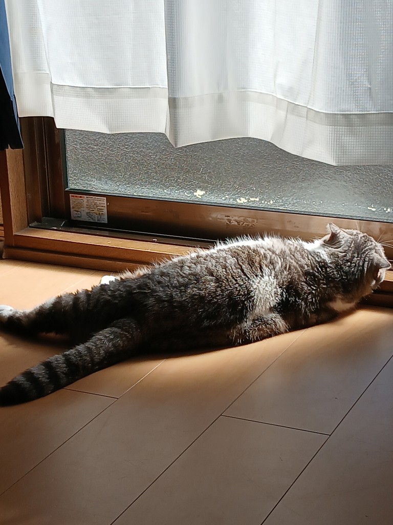 ユーザーアイコン