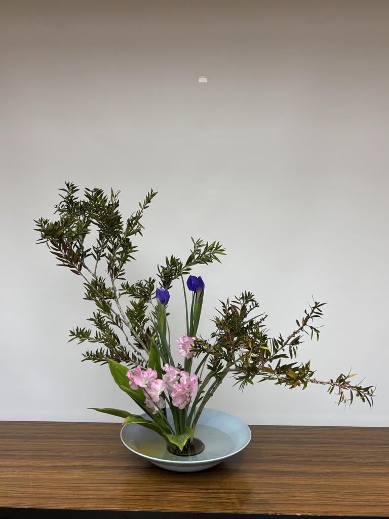 LAVA】ダイテンシ美スパッツエアープラス(Sサイズ ブラック・ピンク