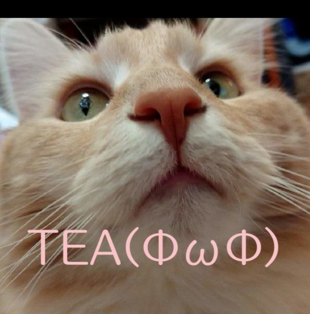 しのん