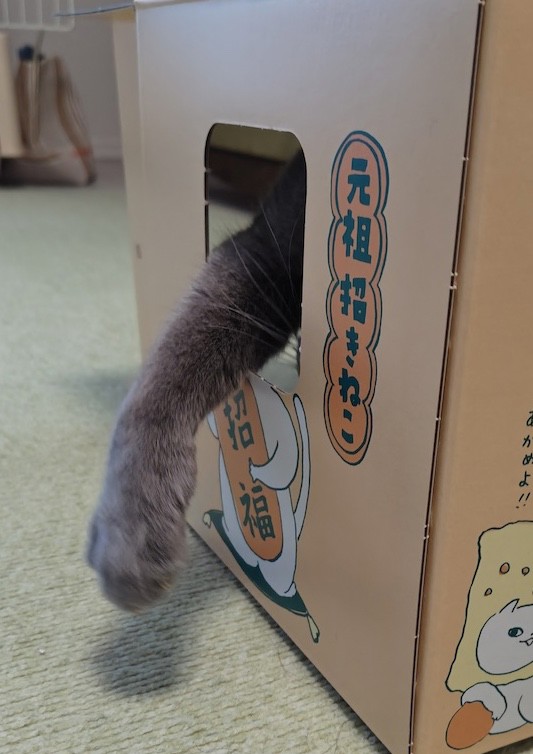 まりっこ