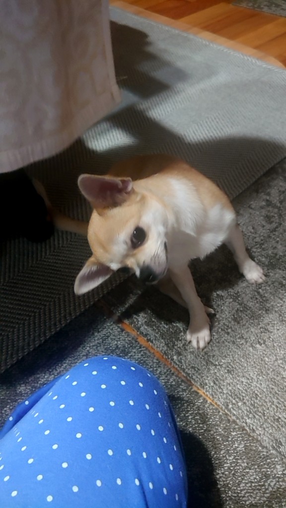 たったー。