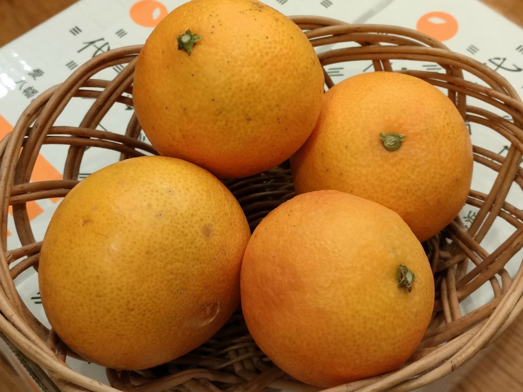 萩さんちの淡路島産甘夏（L・約10kg）: あつめて、兵庫