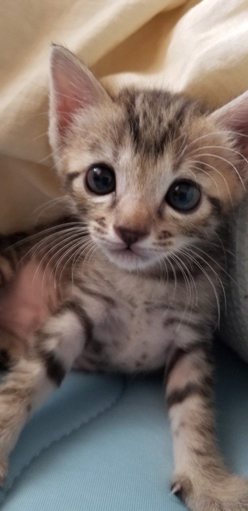 うに