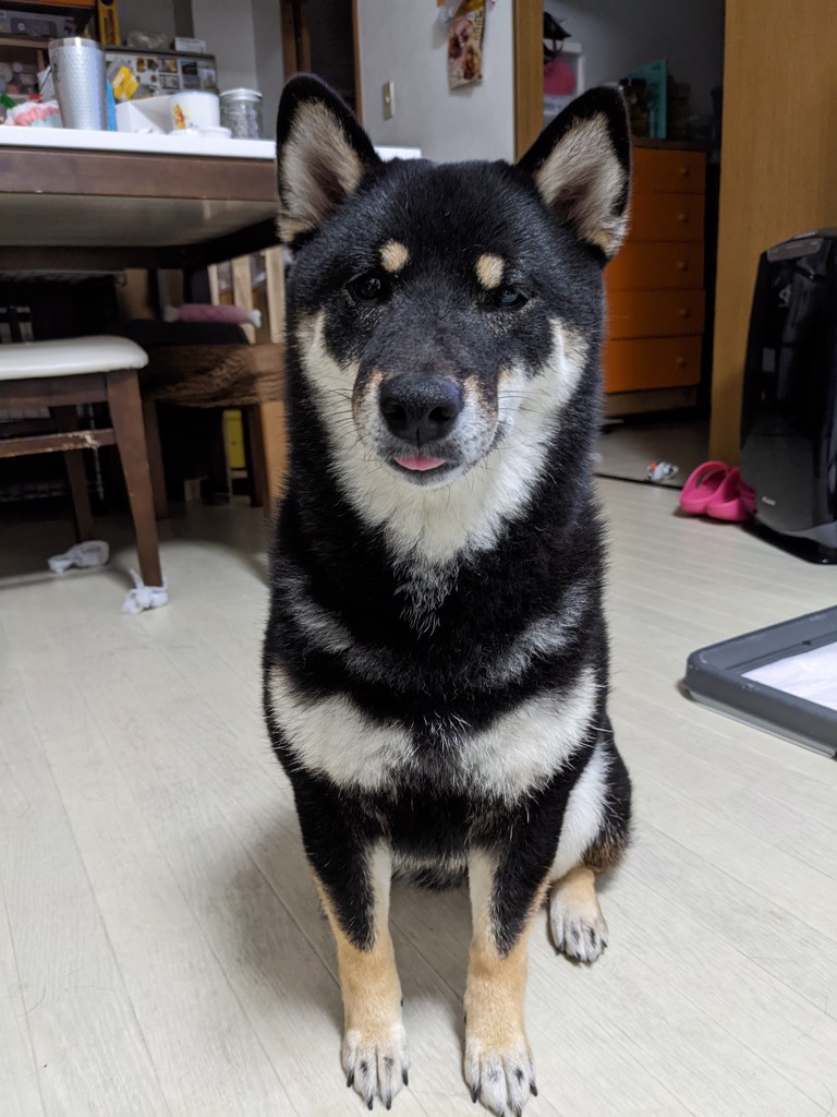 りり