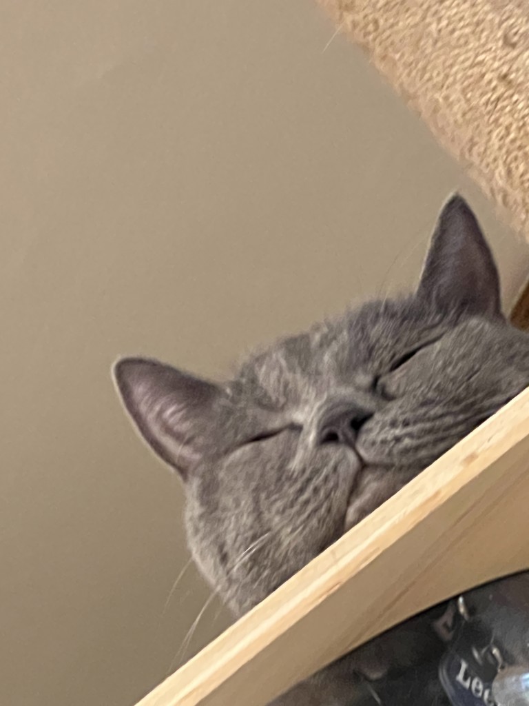 ひぽ