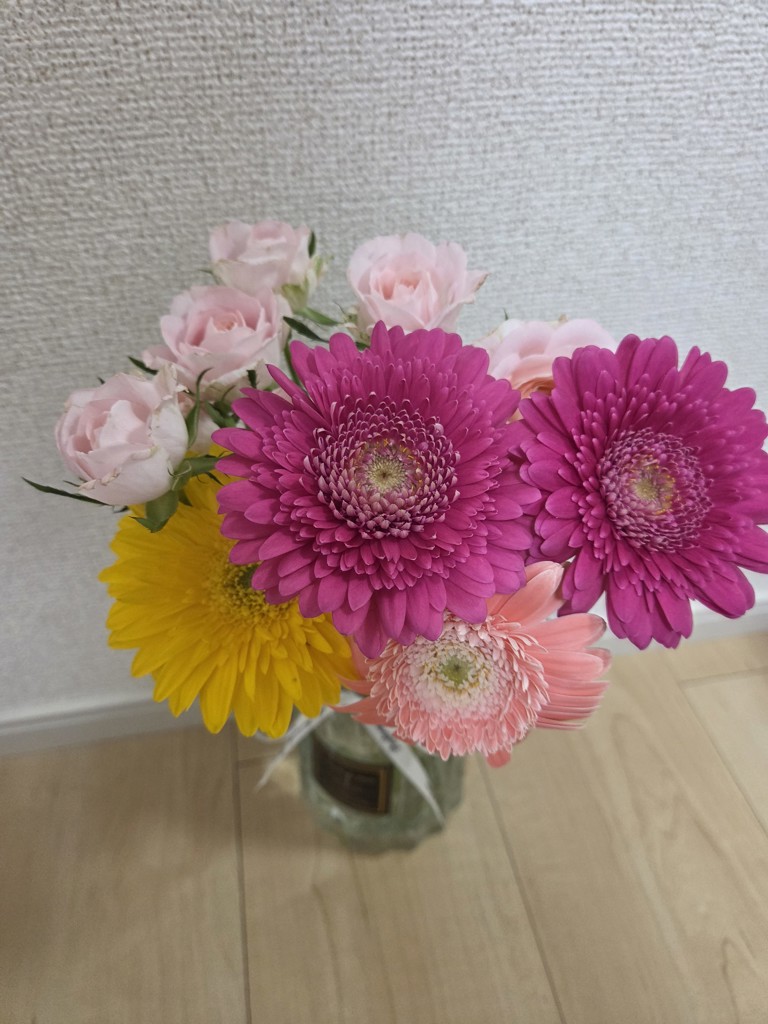 すいすい15