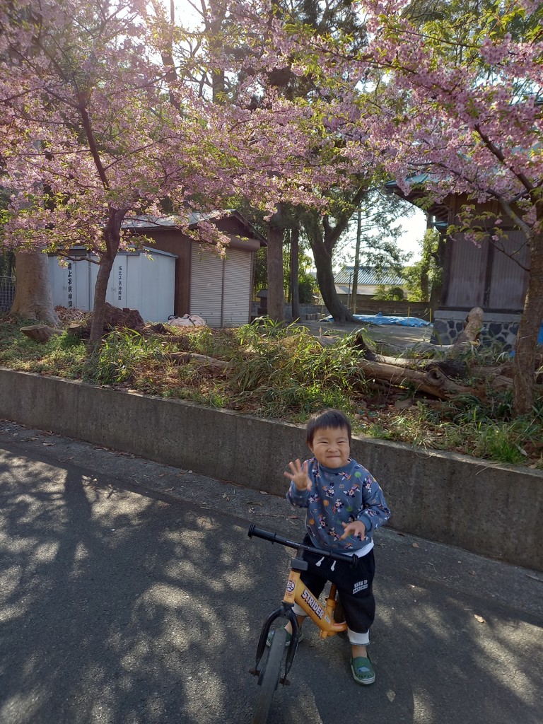 ひろりんこ