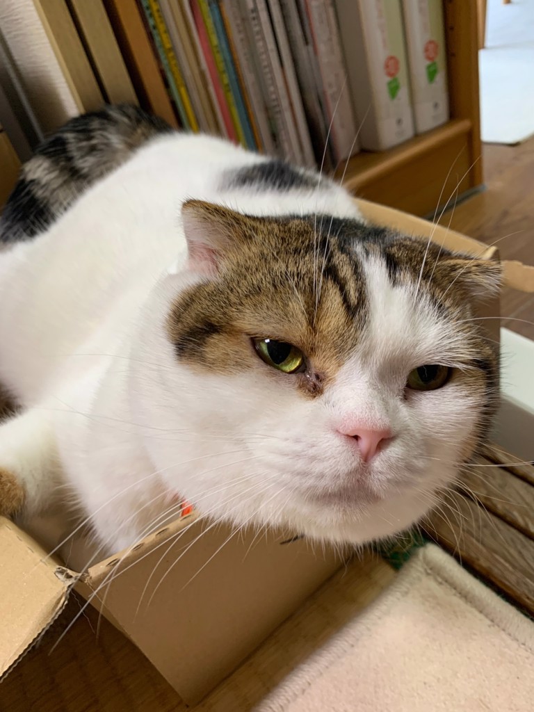 さっちゃん