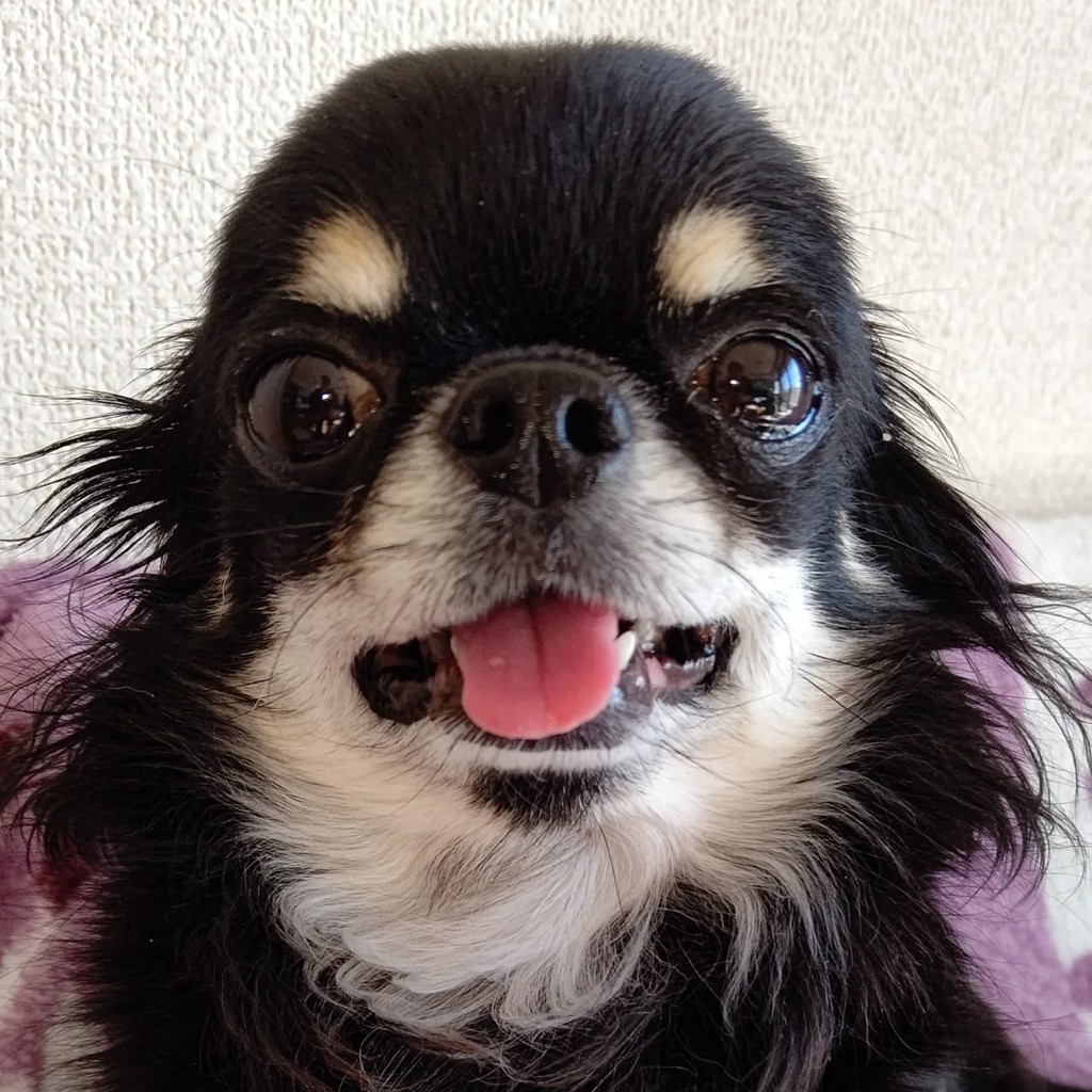 一周回ってヤッホー亜子