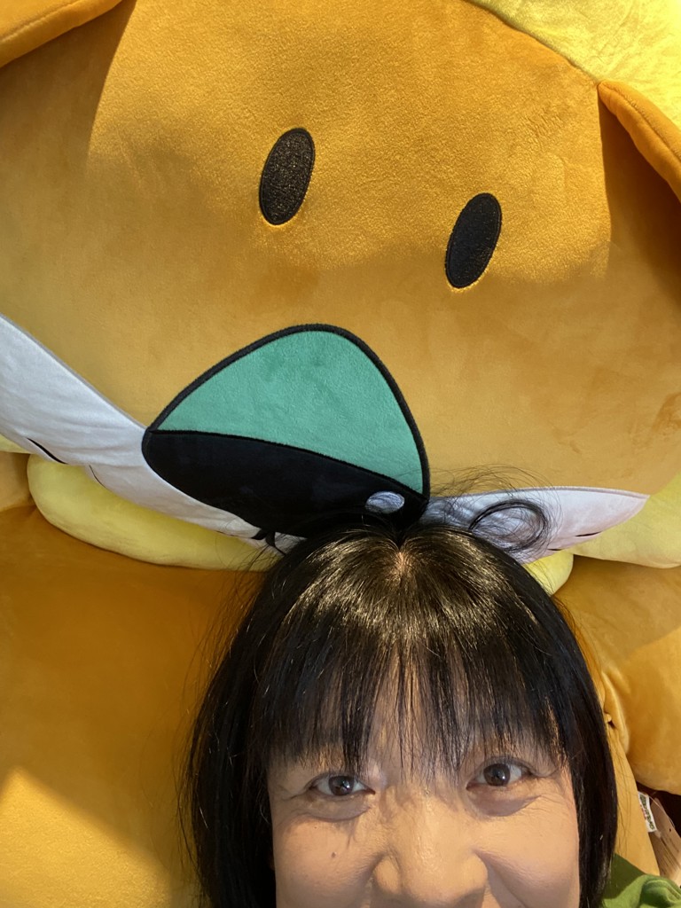 みきはは