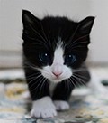 no name