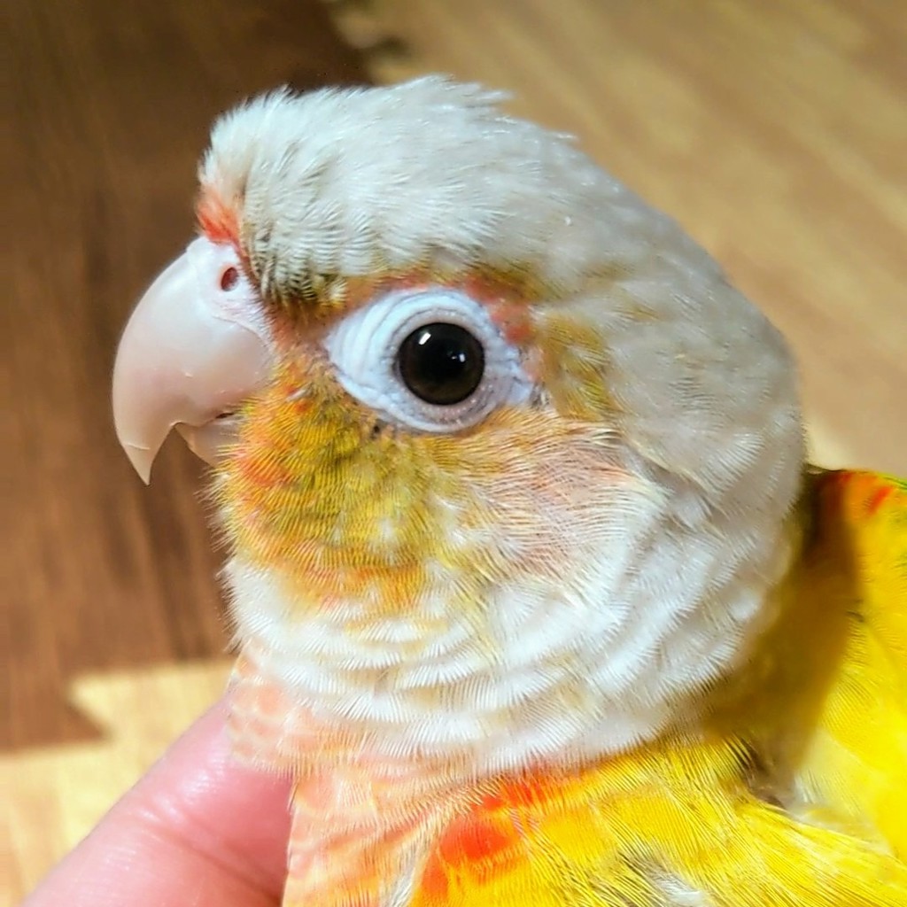 ユーザーアイコン