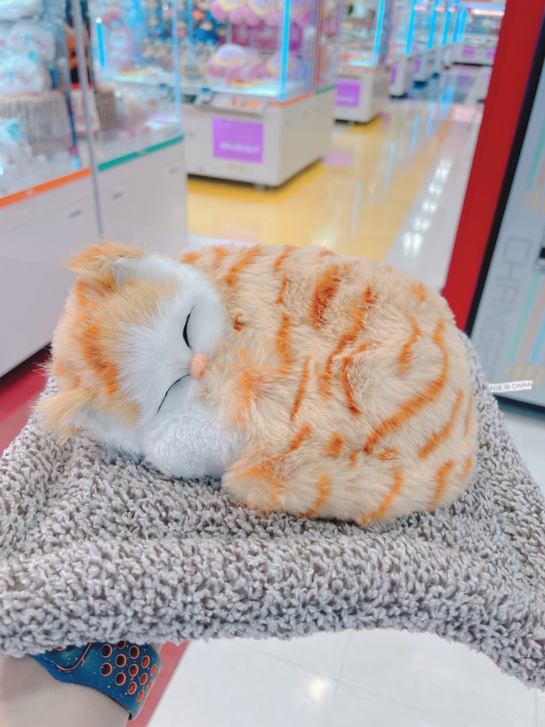 しぉん