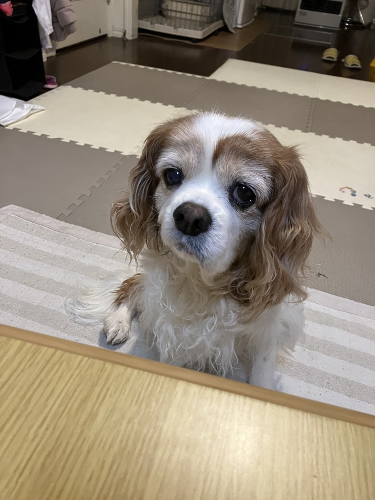ユーザーアイコン