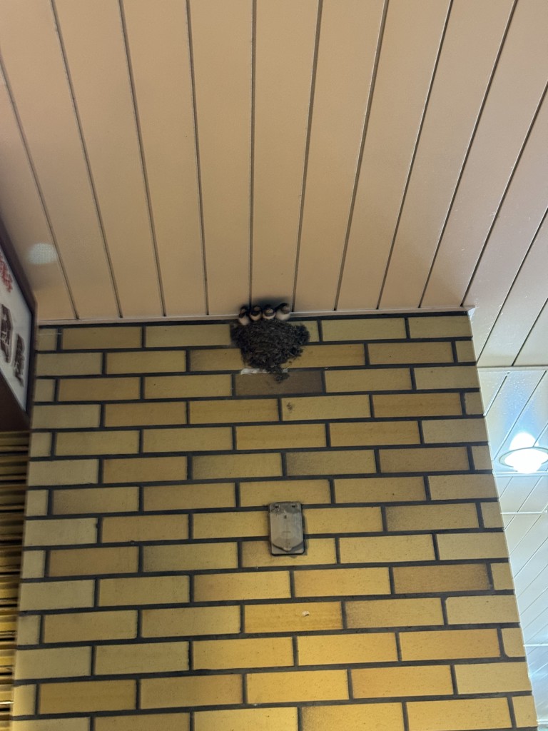 すずと
