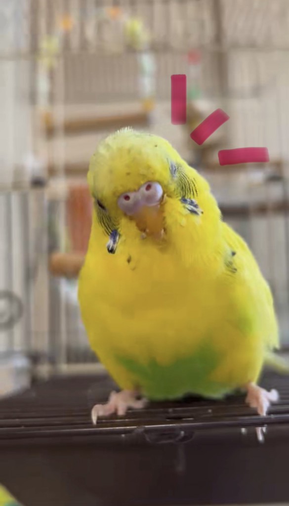 ユーザーアイコン