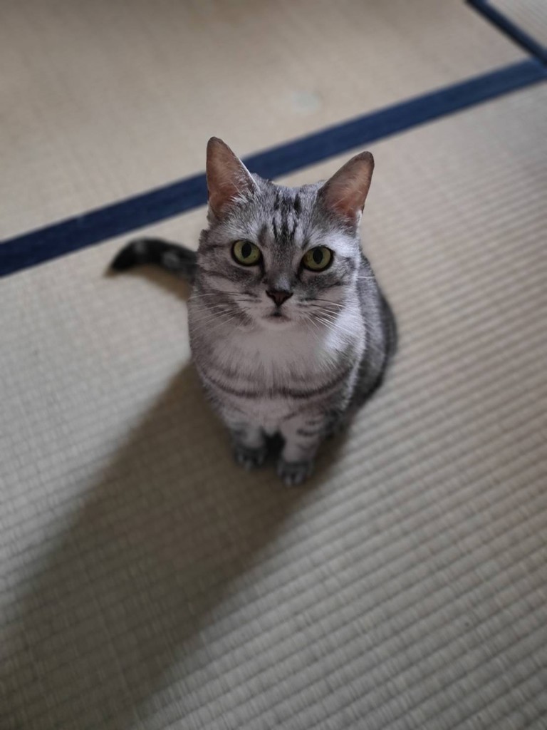 no name