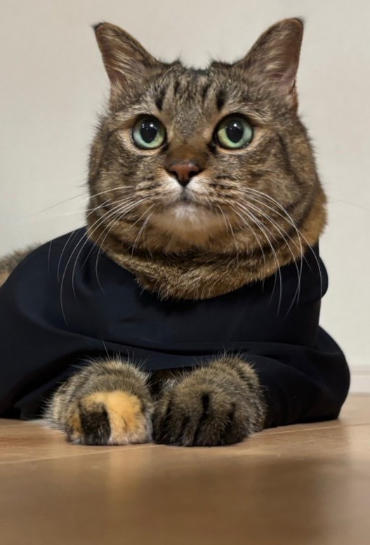 ひろちゃん