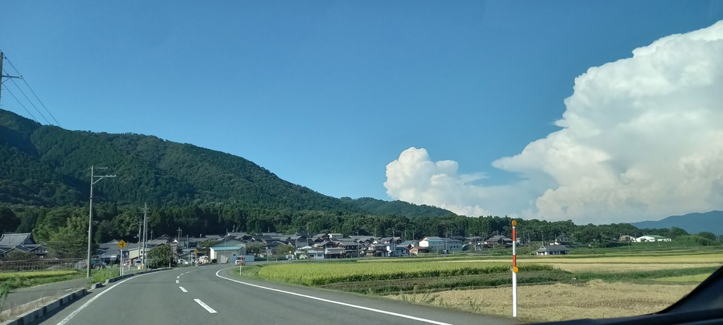 みずの