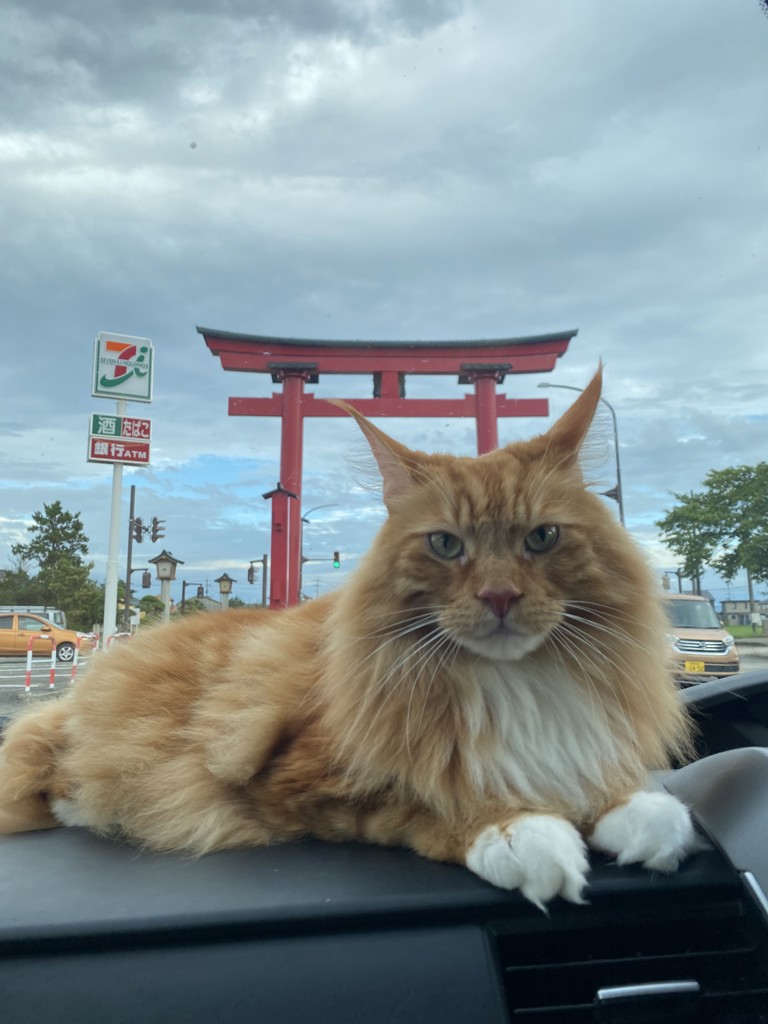 関谷プロ