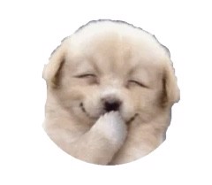 みぃ