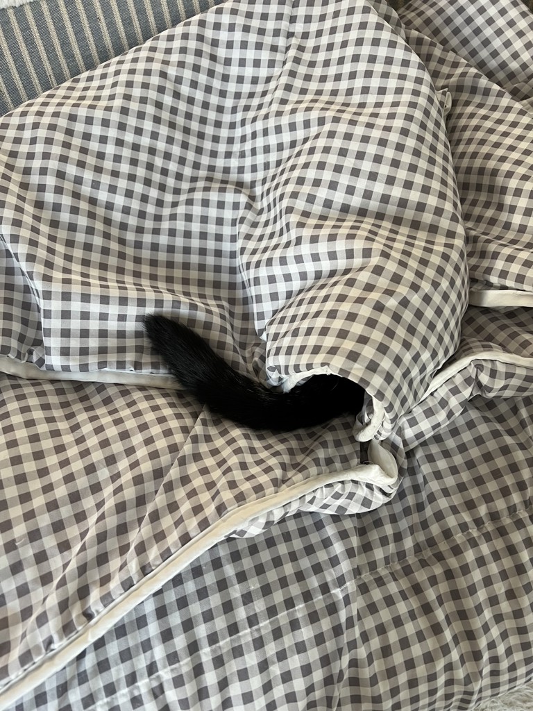 わし