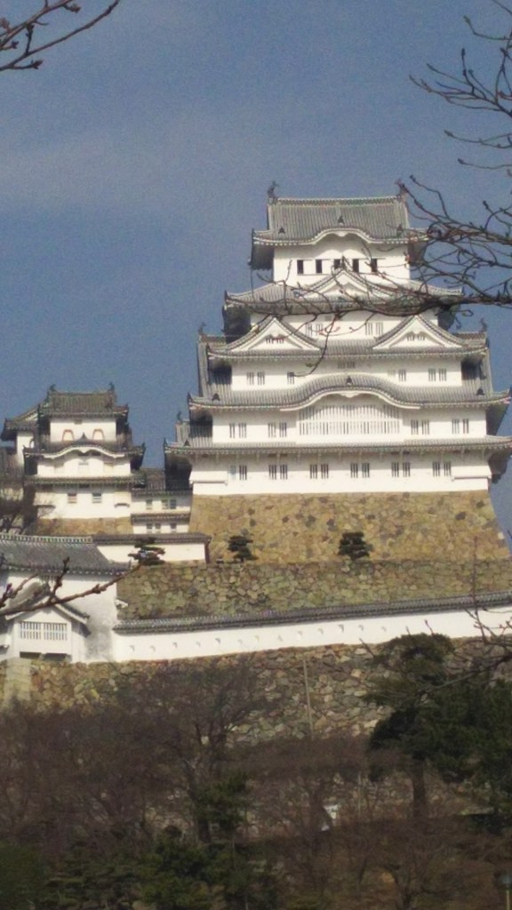 犬山 猫太