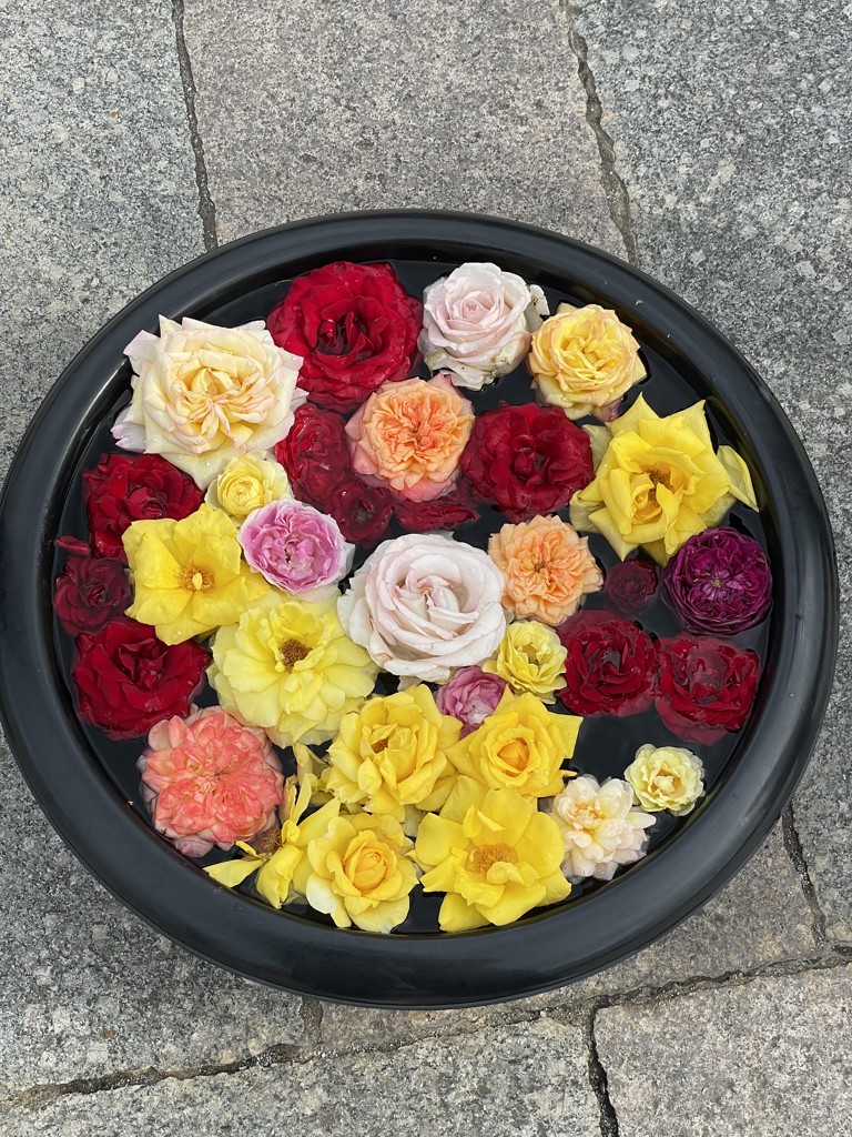 ラブラリーファイター ハンカチ(レッド): LOVERARY BY FEILER