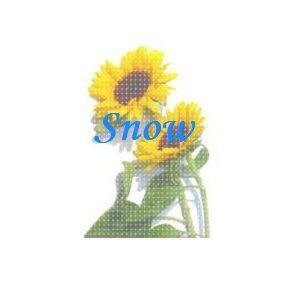 snow106