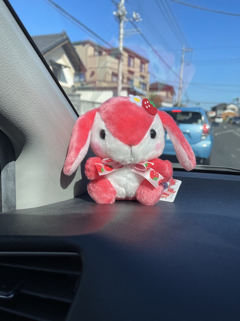 りざーどん