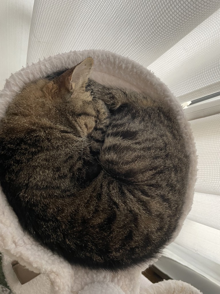 むっち