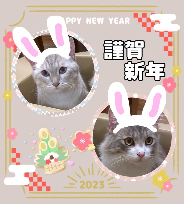 いもころりん