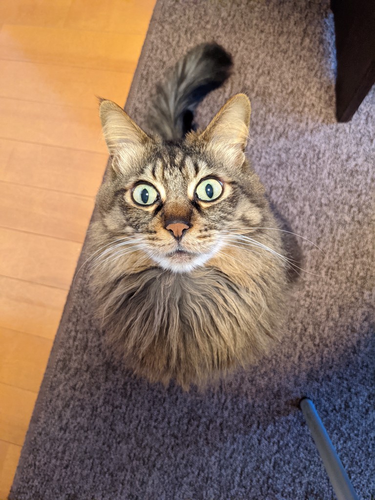 ゴスマリリン