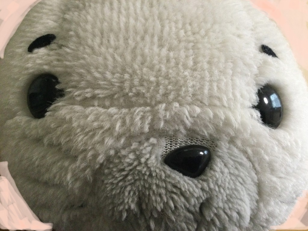 ゴマ
