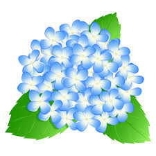 gorosan