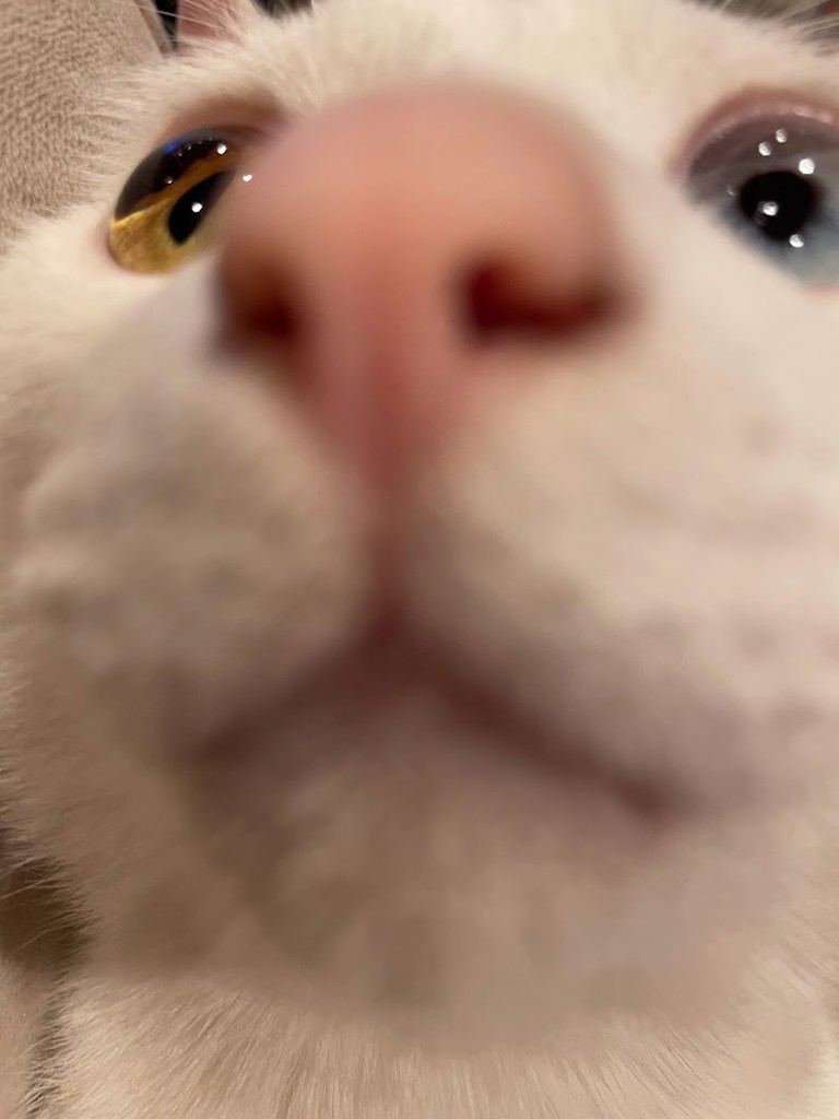 yun