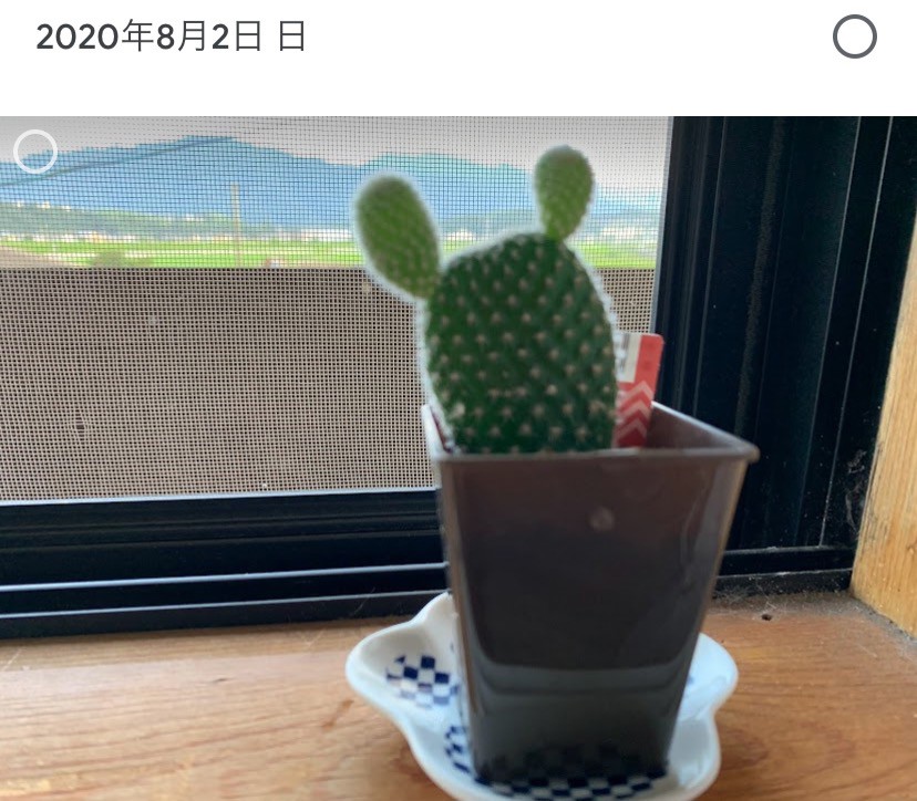 はるぷり
