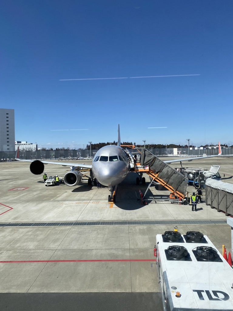 ミミ