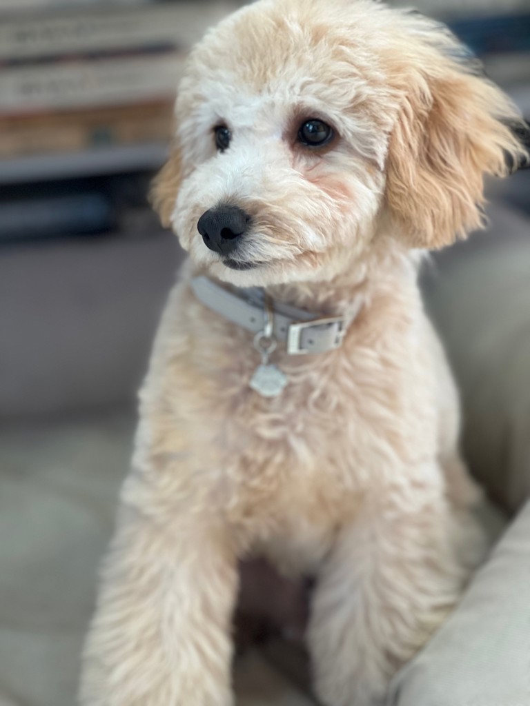 no name