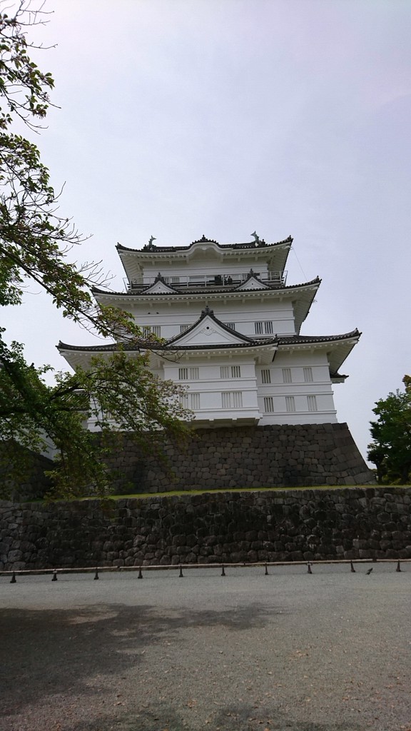 SUKALA】カップ付きミニハイネックTee(S・M・Lサイズ ホワイト