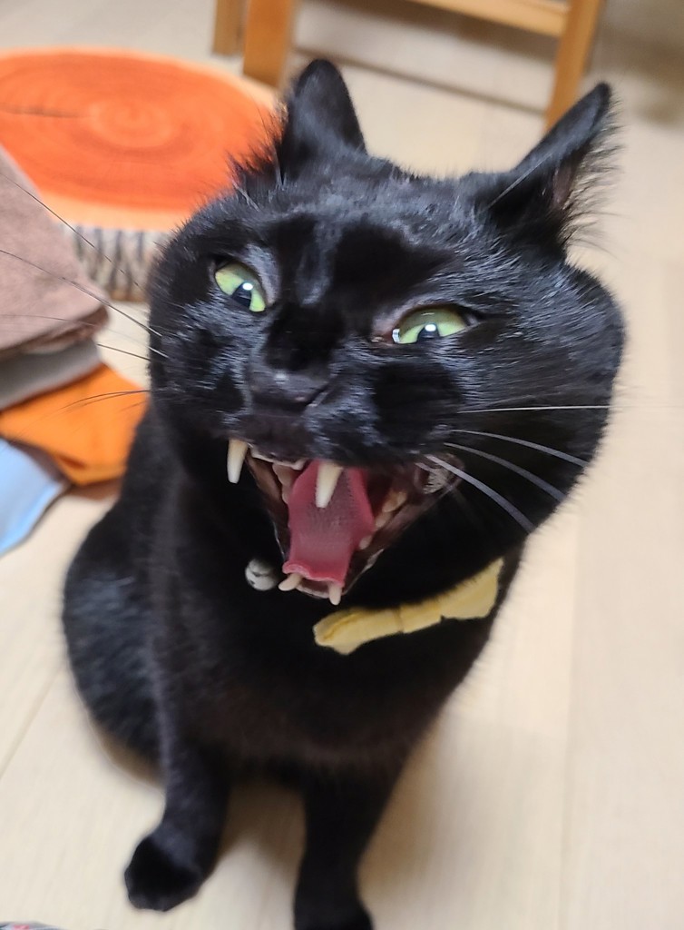 ちょぼ