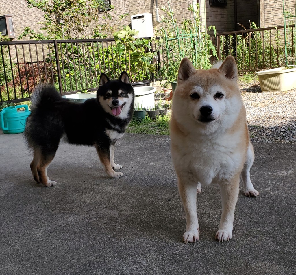 けんじ