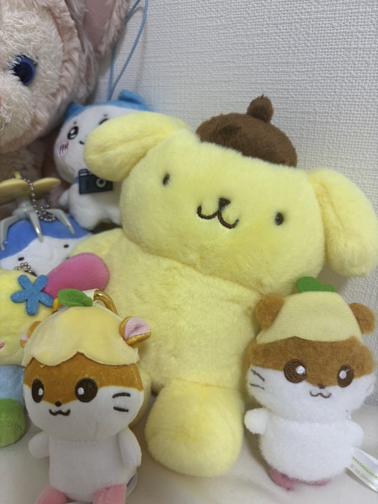 ヘアバンド(その他) │sanrio house（サンリオハウス）公式サイト
