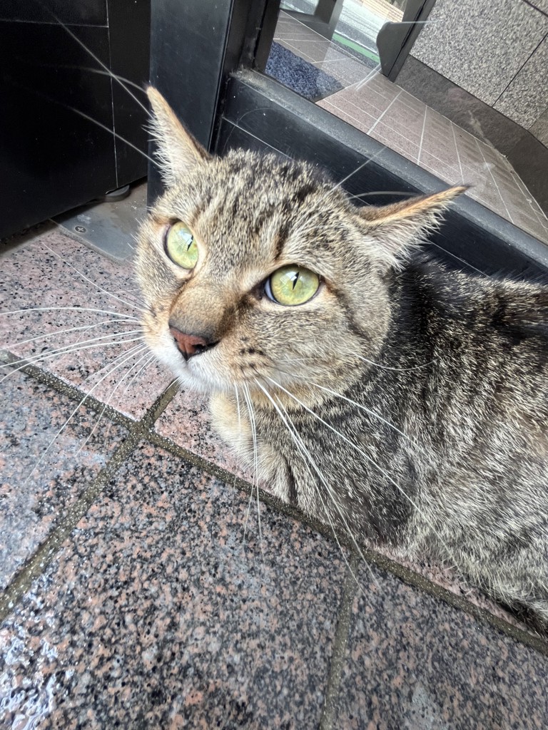 NO NAME