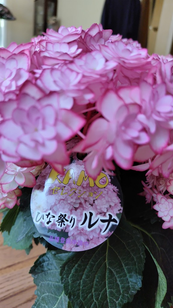 さとさん