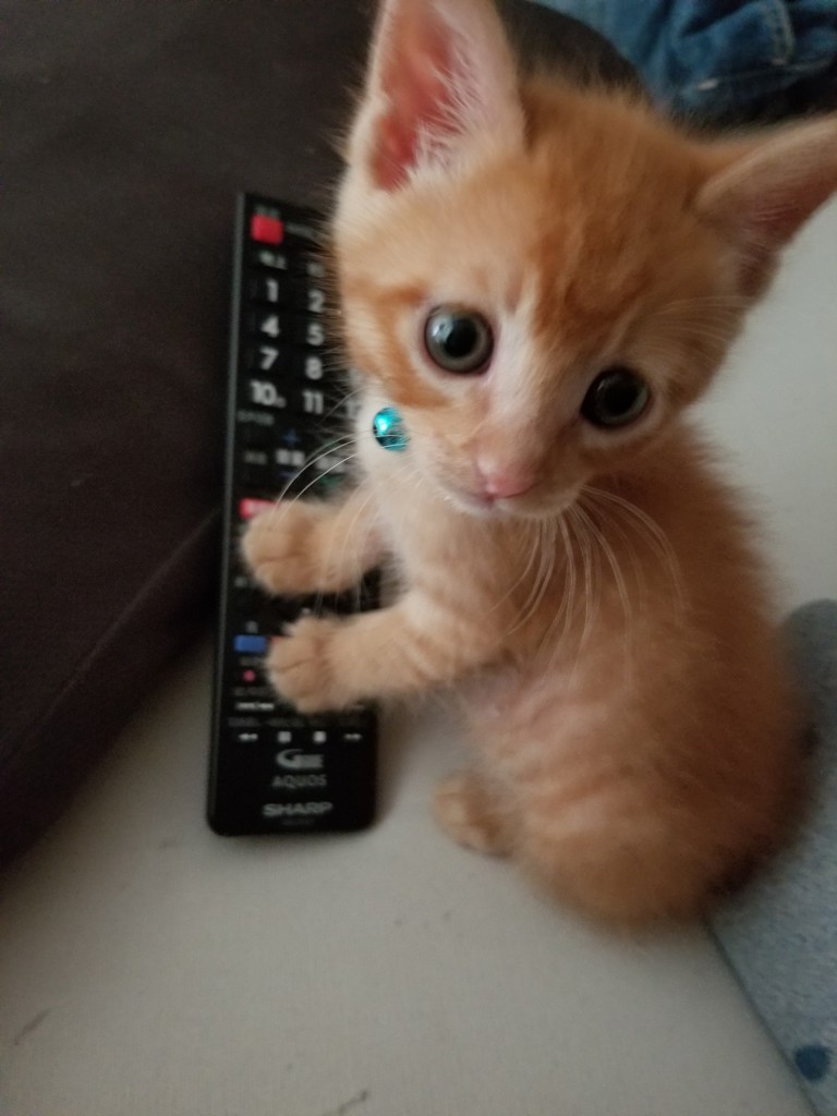 no name