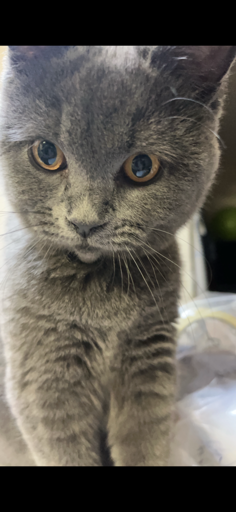no name